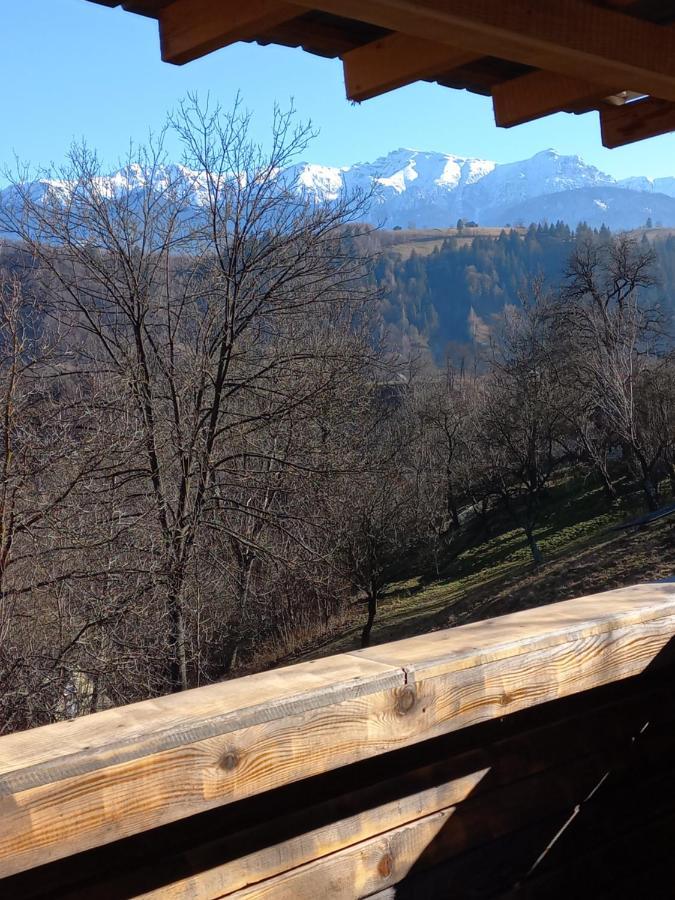 Touch The Sky Chalet Moieciu de Jos