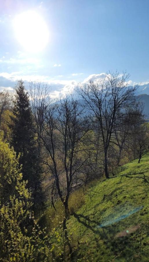 Chaletu Touch The Sky *