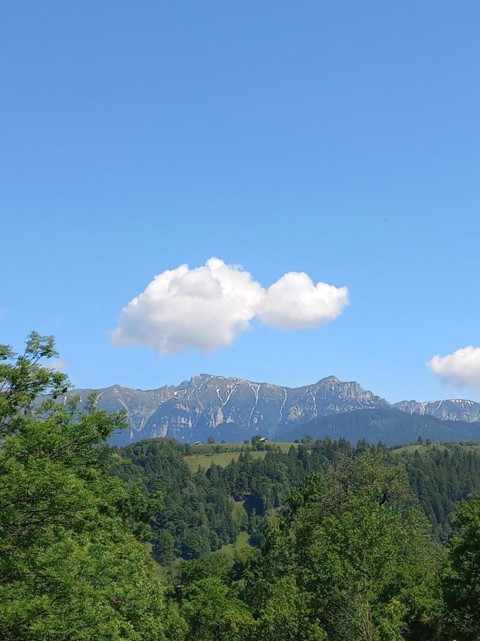 Touch The Sky