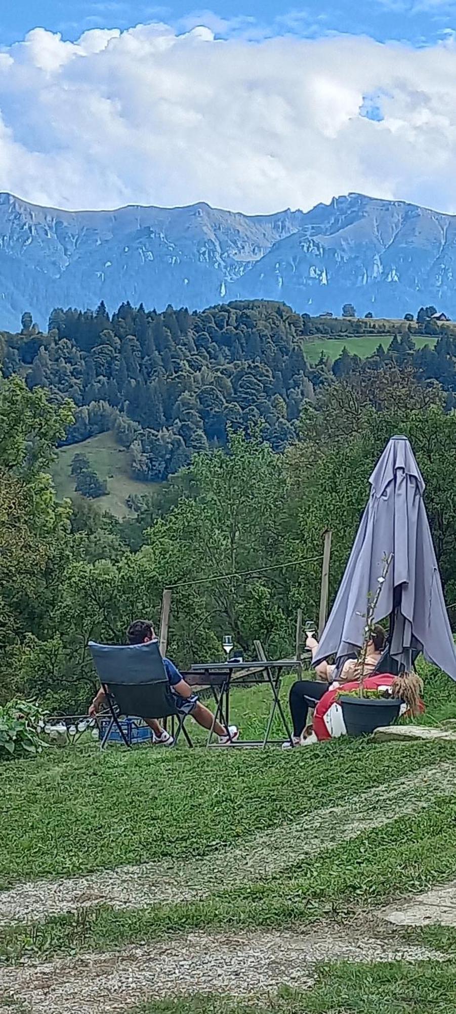 Chalet Touch The Sky Moieciu de Jos