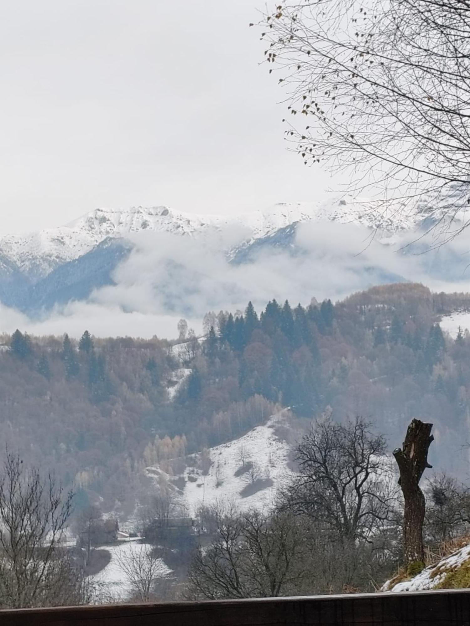 Chalet Touch The Sky Moieciu de Jos