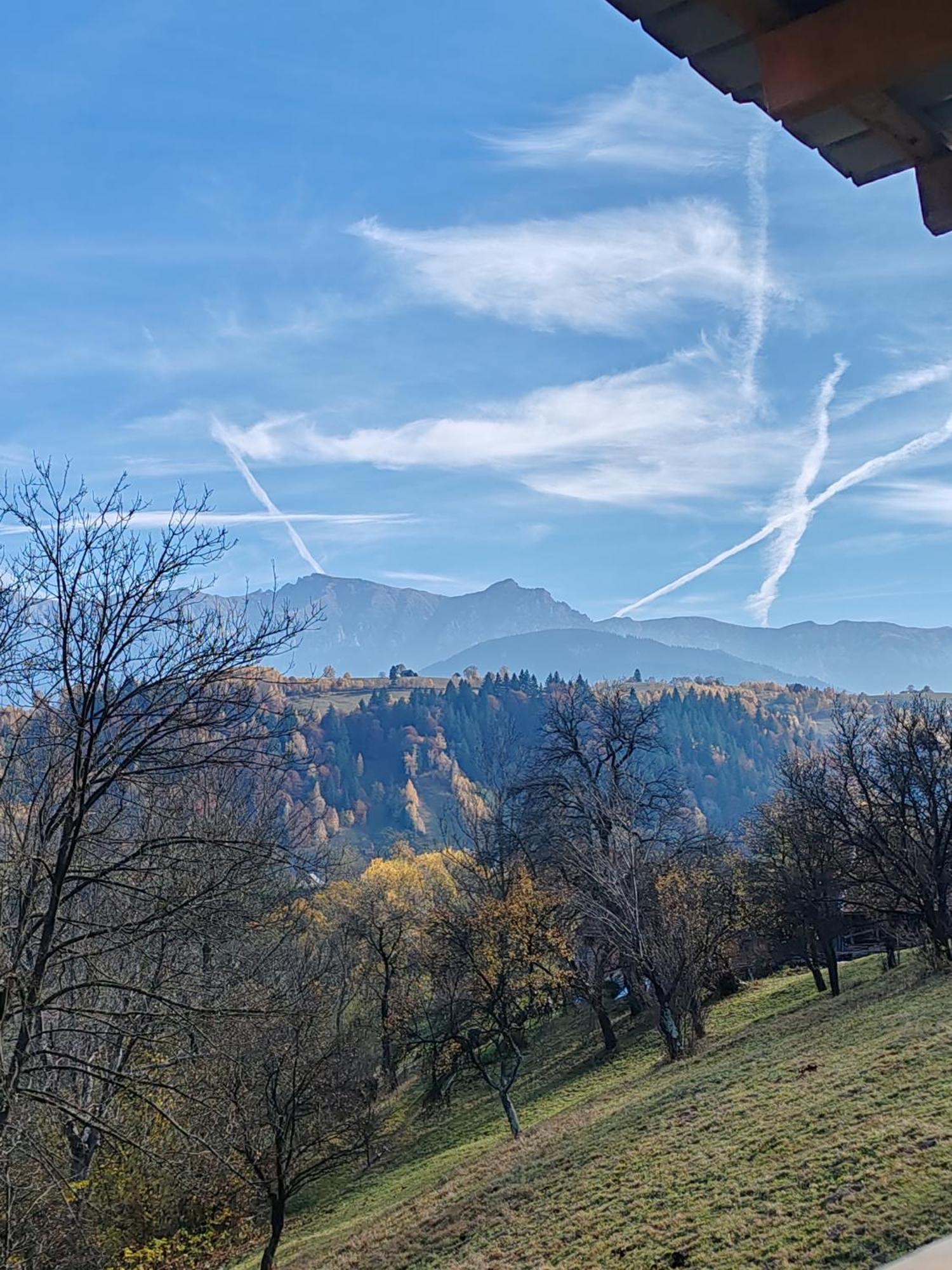 Chaletu Touch The Sky